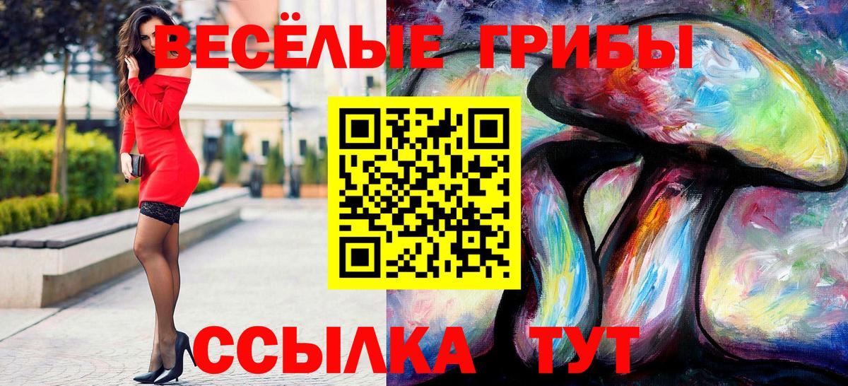 Псилоцибиновые грибы Psilocybine cubensis  Галлюциногенные грибы ЛСД  Вход с VPN  Медногорск 