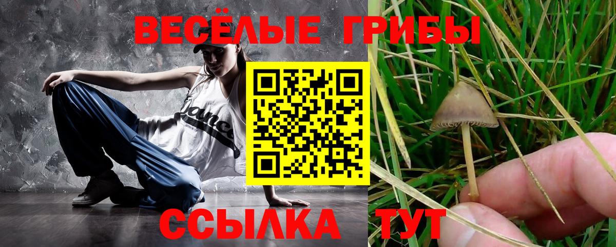 Галлюциногенные грибы Cubensis Медногорск