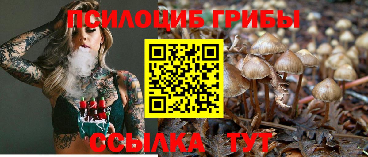 Галлюциногенные грибы ЛСД  как найти   Псилоцибиновые грибы Magic Shrooms  Медногорск 