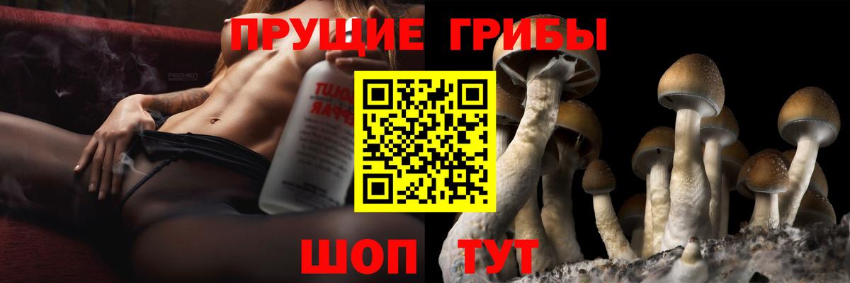 Галлюциногенные грибы мухоморы Медногорск